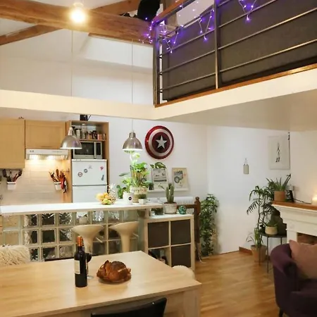 Superb Duplex Design And Cosy Near Marais Apartment *